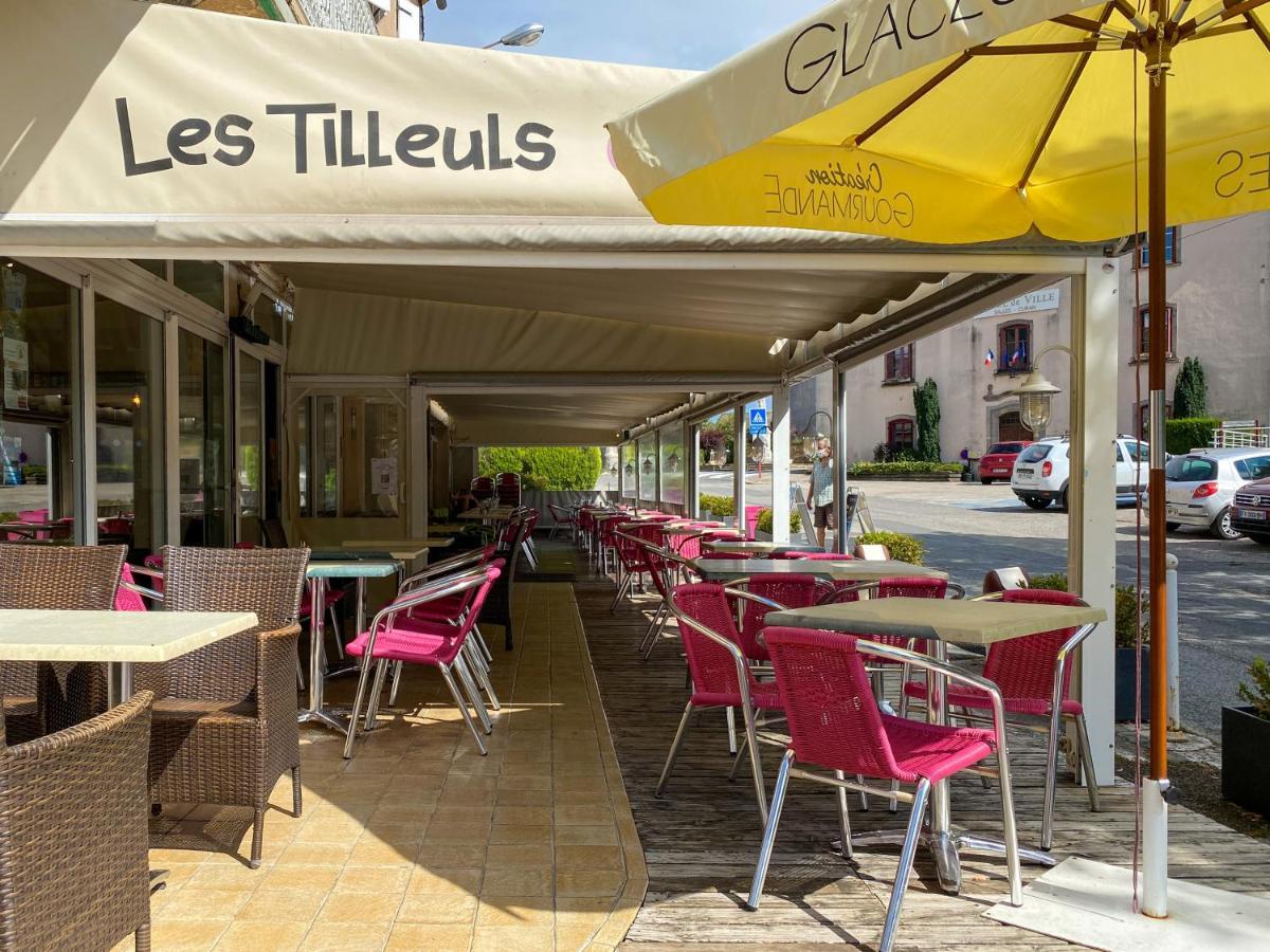 Hotel Les Tilleuls De Pareloup A Salles-Curan Экстерьер фото