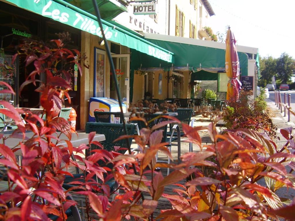 Hotel Les Tilleuls De Pareloup A Salles-Curan Экстерьер фото