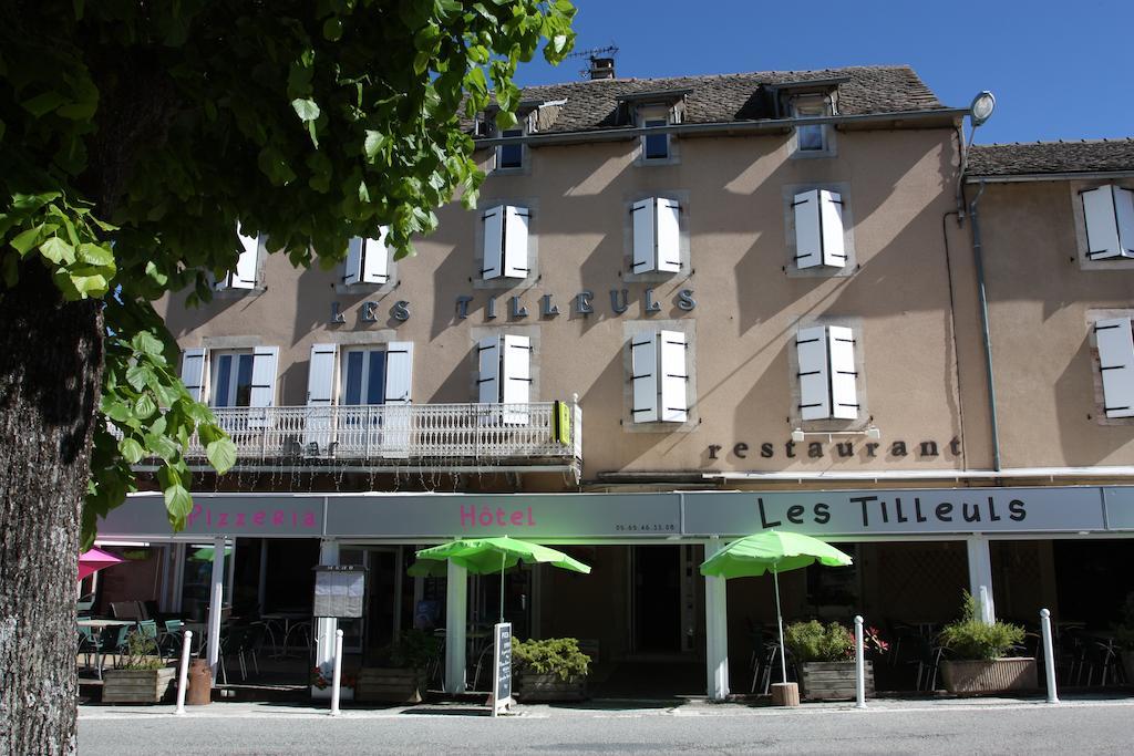 Hotel Les Tilleuls De Pareloup A Salles-Curan Экстерьер фото